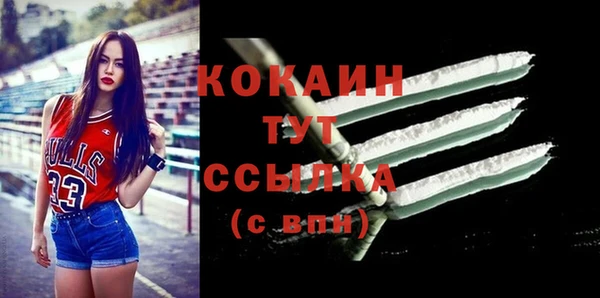 прущие крисы Бородино