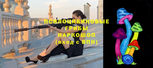 стаф Медногорск