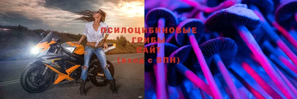 mix Богородицк