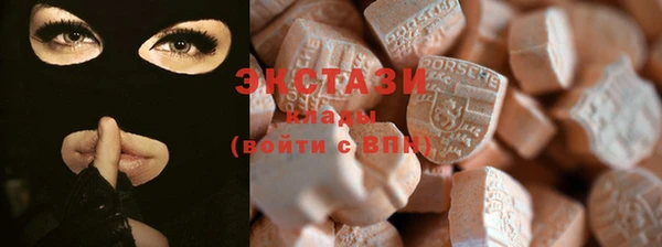 стаф Медногорск