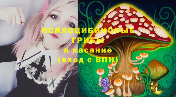 2c-b Медвежьегорск
