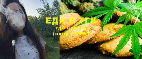стаф Медногорск