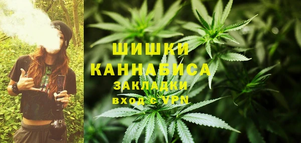mix Богородицк