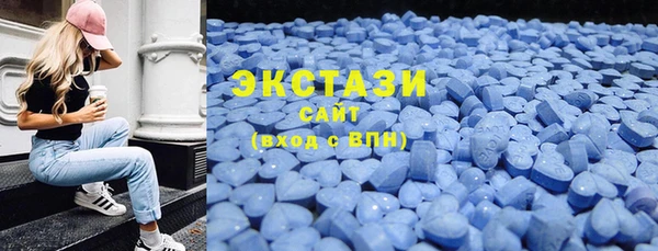 стаф Медногорск