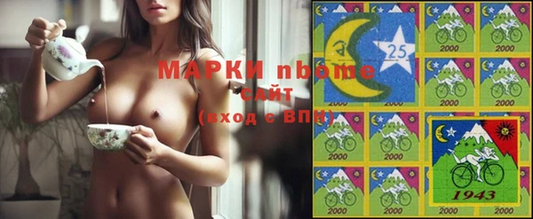 стаф Медногорск