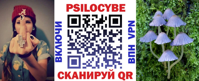дарк нет телеграм  Буй  Галлюциногенные грибы GOLDEN TEACHER  наркота 